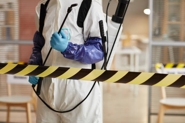 Professional Sewage Cleanup technician working in Stony Brook, NY